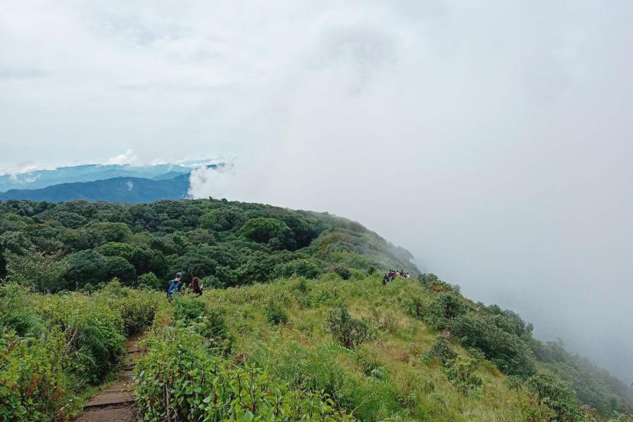 Kew Mae Pan Trail