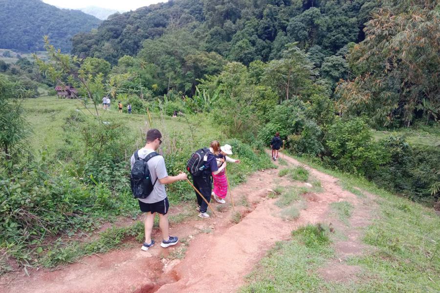 Pha Dok Siew Trail during the rainy season