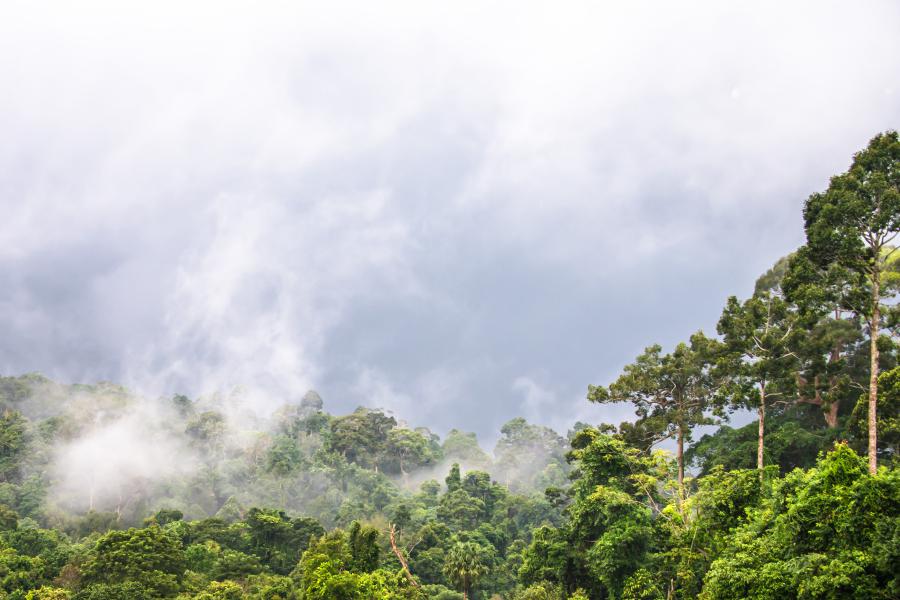 Khao Yai National Park