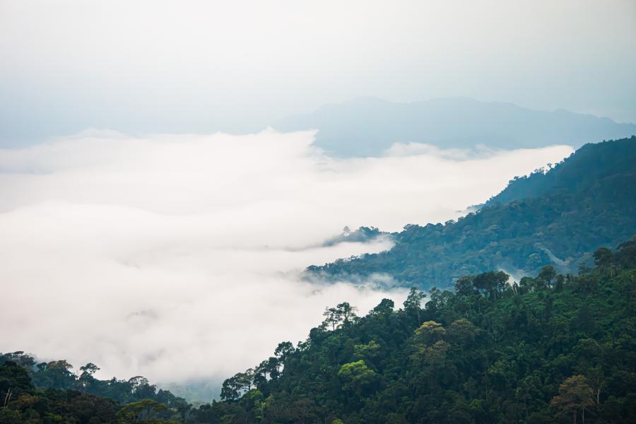See of mist, Phanoen Thung Campsite