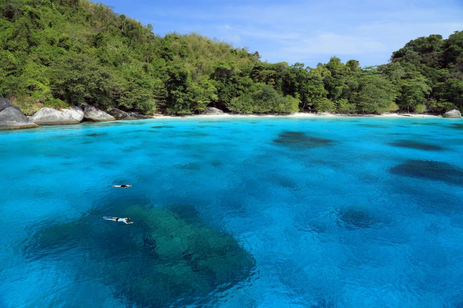 Snorkelling in the crystal clear waters of Similan Islands