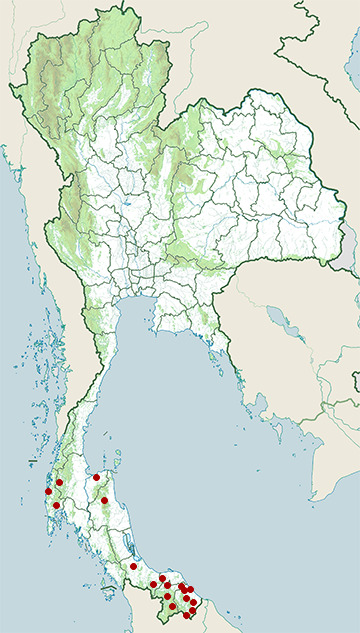 Distribution map of Malaysian banded coral snake, Calliophis intestinalis in Thailand