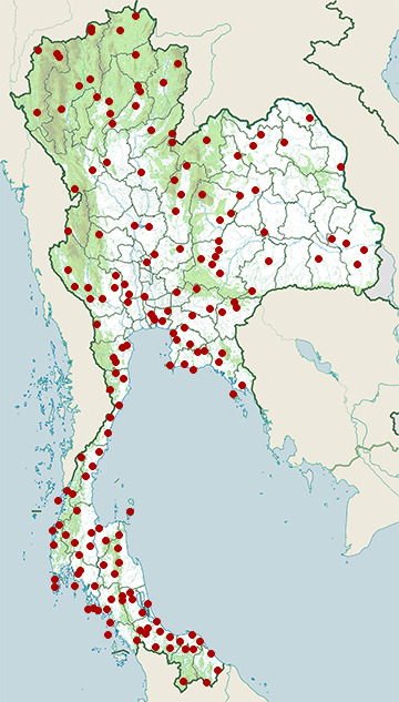Distribution map of Thai garden lizard, Calotes thailandensis in Thailand