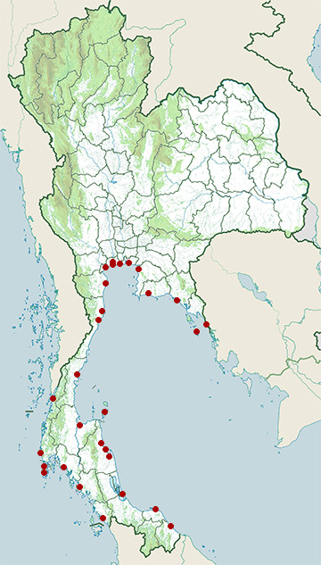 Distribution map of Southeast Asian bockadam, Cerberus schneiderii in Thailand
