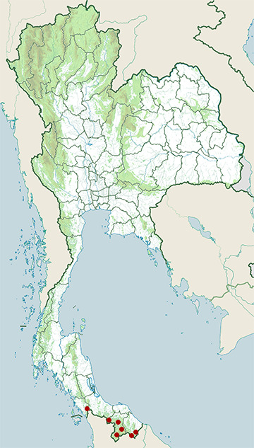 Distribution map of Bell's anglehead lizard, Gonocephalus bellii in Thailand