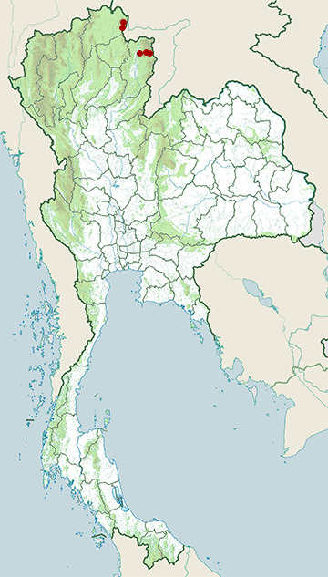 Distribution map of Fire-back keelback, Hebius igneus in Thailand