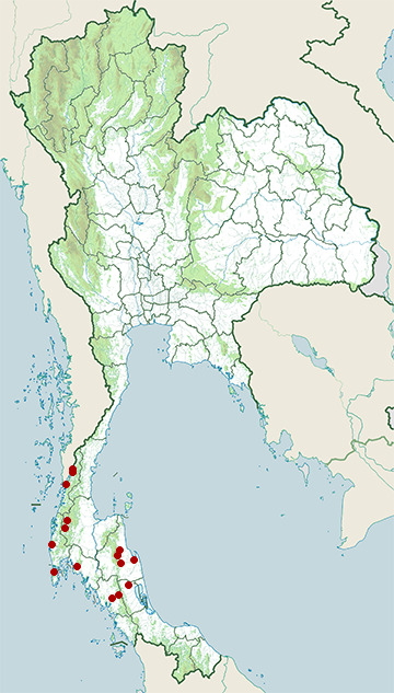 Distribution map of Martaban mud snake, Homalopsis semizonata in Thailand