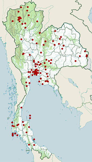 Distribution map of Rugosed frog, Hoplobatrachus chinensis in Thailand