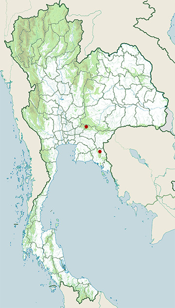 Distribution map of Cardamom caecilian, Ichthyophis cardamomensis in Thailand