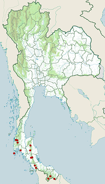 Distribution map of Dark wolf snake, Lycodon albofuscus in Thailand