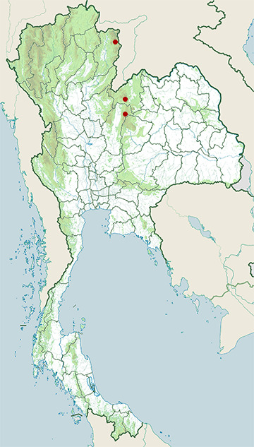 Distribution map of Assam kukri snake, Oligodon catenatus in Thailand