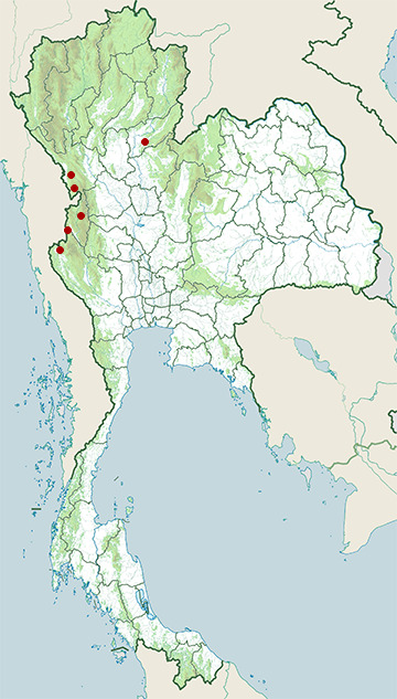 Distribution map of Cantor's kukri snake, Oligodon cyclurus in Thailand