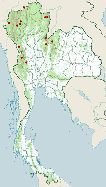 Distribution map of Yunnan slug snake, Pareas yunnanensis in Thailand
