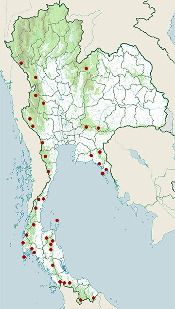 Distribution map of Speckle-bellied keelback, Rhabdophis chrysargos in Thailand