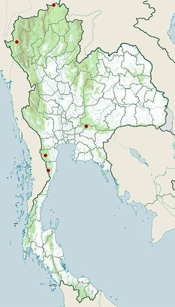 Distribution map of Northern woolly horseshoe bat, Rhinolophus perniger in Thailand