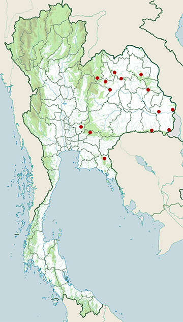 Distribution map of Vietnam smooth skink, Scincella rupicola in Thailand