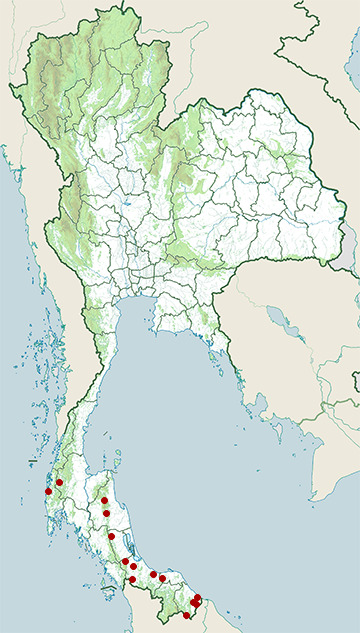 Distribution map of Black-headed collared snake, Sibynophis melanocephalus in Thailand