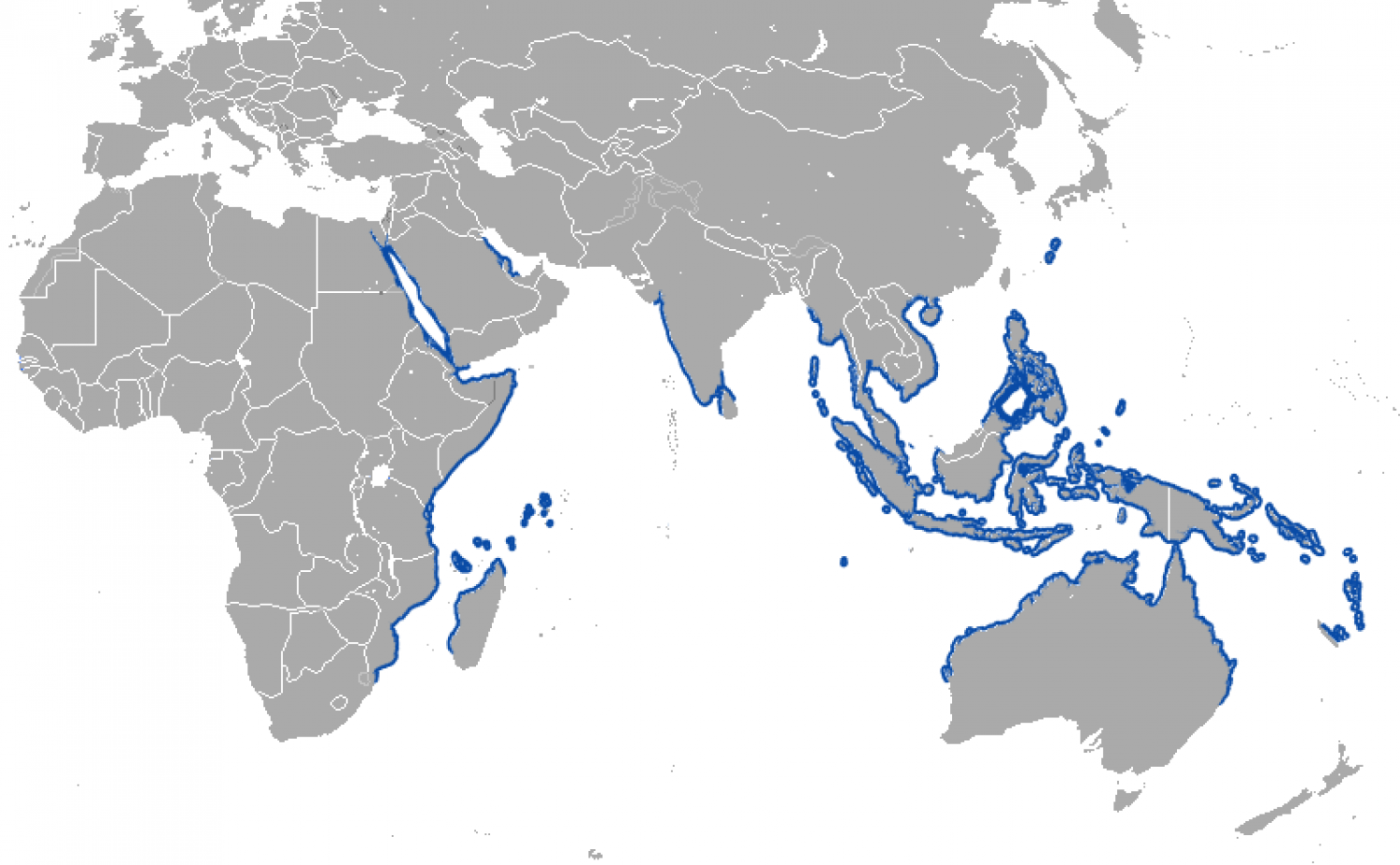 Dugong Dugong Dugon Dugong Dugong Dugon